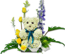 Load image into Gallery viewer, OASIS® 3D Bear 21.5cm
