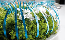 Load image into Gallery viewer, OASIS FLAT ALUMINIUM WIRE 5MM X1MM X 10M, TURQUOISE
