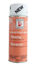 Load image into Gallery viewer, Design Master Colortool Spray-Peachy
