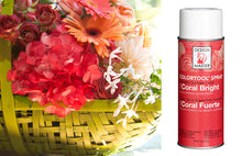 Load image into Gallery viewer, Design Master Colortool Spray-Coral Bright

