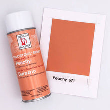 Load image into Gallery viewer, Design Master Colortool Spray-Peachy
