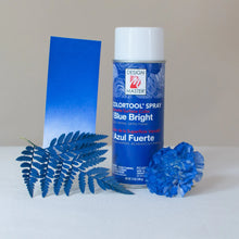 Load image into Gallery viewer, Design Master Colortool Spray-Blue Bright
