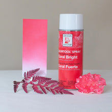 Load image into Gallery viewer, Design Master Colortool Spray-Coral Bright
