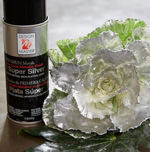 Load image into Gallery viewer, Design Master Premium Metallic Spray-Super Silver
