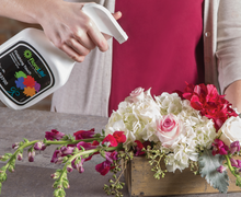 Load image into Gallery viewer, Floralife® Finishing Touch 1 Gallon
