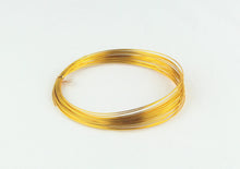 Load image into Gallery viewer, OASIS ROUND ALUMINIUM WIRE 1MM X 10M, GOLD
