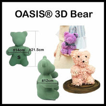 Load image into Gallery viewer, OASIS® 3D Bear 21.5cm
